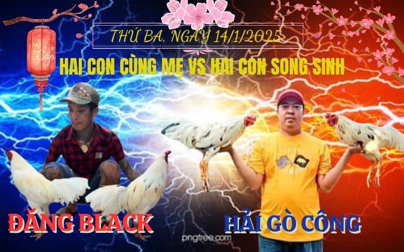 Kèo Hẹn Giữa Anh Đăng Black Và Anh Hải Gò Công Tại CPC3 Ngày 14/1/2025